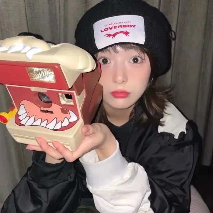 北极大冒险