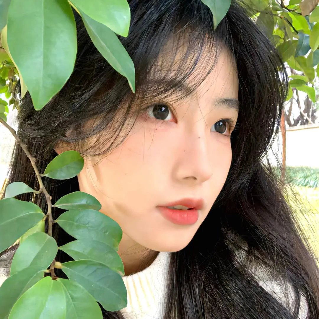 猫儿叫春